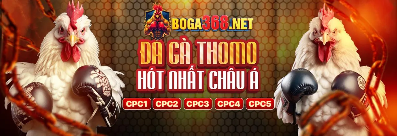 Chương trình VIP độc quyền của Kingbet Nhà Cái
