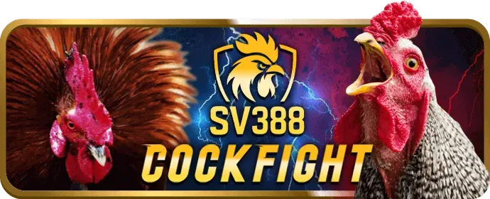 Thưởng VIP Kingbet nhà cái